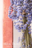 Milk Paint Wood Stain by Homestead